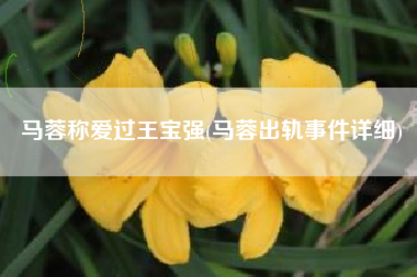 马蓉称爱过王宝强(马蓉出轨事件详细)