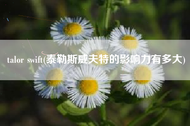 talor swift(泰勒斯威夫特的影响力有多大)