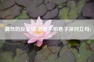 偶然的反义词(酒香不怕巷子深对立句)