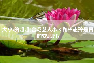 大小s的姐姐(台湾艺人小Ｓ和林志玲是真的交恶吗)