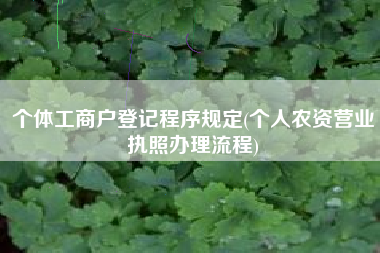 个体工商户登记程序规定(个人农资营业执照办理流程)
