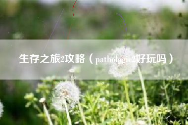 生存之旅2攻略（pathologic2好玩吗）