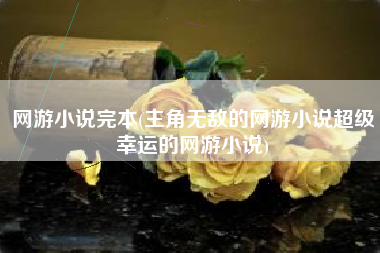 网游小说完本(主角无敌的网游小说超级幸运的网游小说)