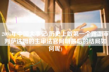 2004年中国大事记(历史上敢第一个露面审判萨达姆的主审法官阿明最后的结局如何呢)