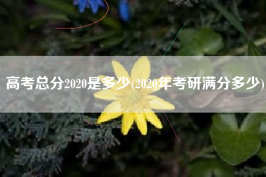 高考总分2020是多少(2020年考研满分多少)