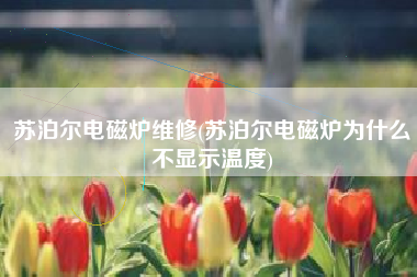 苏泊尔电磁炉维修(苏泊尔电磁炉为什么不显示温度)