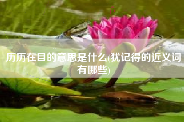 历历在目的意思是什么(犹记得的近义词有哪些)