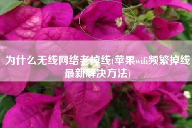 为什么无线网络老掉线(苹果wifi频繁掉线最新解决方法)