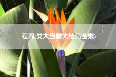 程闯(女大当婚大结局全集)