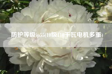 防护等级ip55(10级110千瓦电机多重)