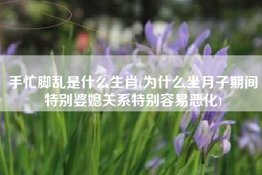 手忙脚乱是什么生肖(为什么坐月子期间特别婆媳关系特别容易恶化)