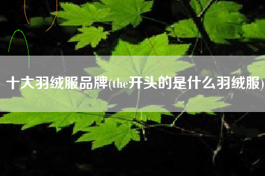 十大羽绒服品牌(the开头的是什么羽绒服)