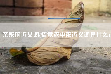 亲密的近义词(情意浓中浓近义词是什么)
