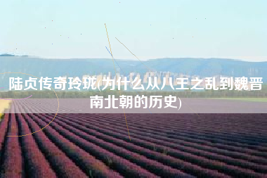 陆贞传奇玲珑(为什么从八王之乱到魏晋南北朝的历史)