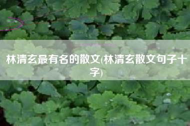 林清玄最有名的散文(林清玄散文句子十字)