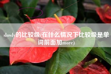 slowly的比较级(在什么情况下比较级是单词前面加more)