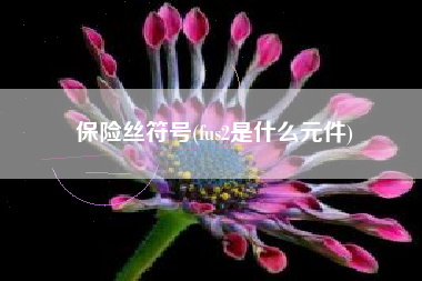 保险丝符号(fus2是什么元件)