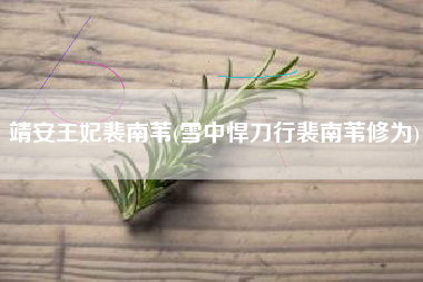 靖安王妃裴南苇(雪中悍刀行裴南苇修为)