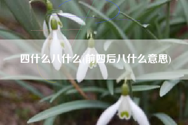 四什么八什么(前四后八什么意思)