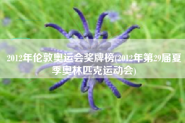 2012年伦敦奥运会奖牌榜(2012年第29届夏季奥林匹克运动会)