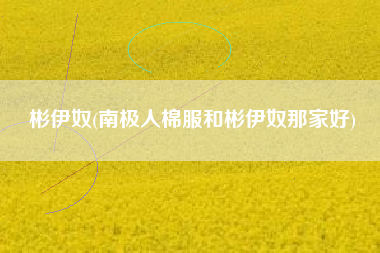 彬伊奴(南极人棉服和彬伊奴那家好)
