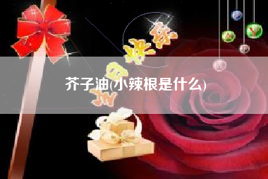 芥子油(小辣根是什么)