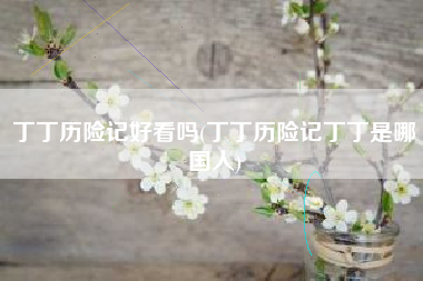 丁丁历险记好看吗(丁丁历险记丁丁是哪国人)