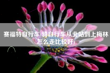 赛福特自行车(骑自行车从北站到上梅林怎么走比较好)