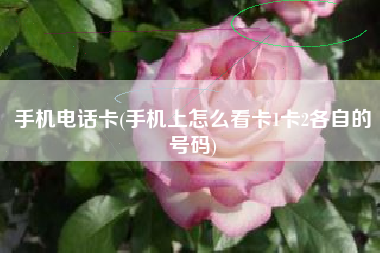 手机电话卡(手机上怎么看卡1卡2各自的号码)