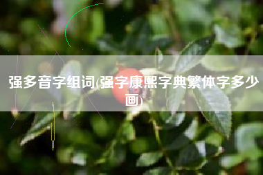 强多音字组词(强字康熙字典繁体字多少画)