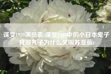 谍变1939演员表(谍变1939中的小日本鬼子良顺丸子为什么又叫苏亚茹)
