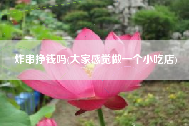 炸串挣钱吗(大家感觉做一个小吃店)