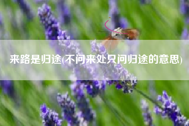 来路是归途(不问来处只问归途的意思)