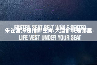 朱雀宫深是指哪生肖(大唐都城是哪里)