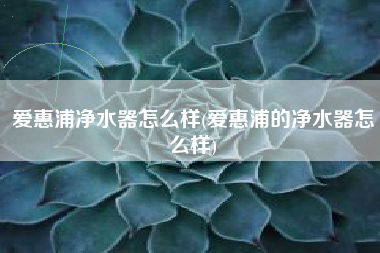 爱惠浦净水器怎么样(爱惠浦的净水器怎么样)