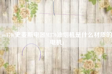 m370(史麦斯电器M370油烟机是什么材质的电机)