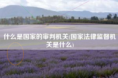 什么是国家的审判机关(国家法律监督机关是什么)