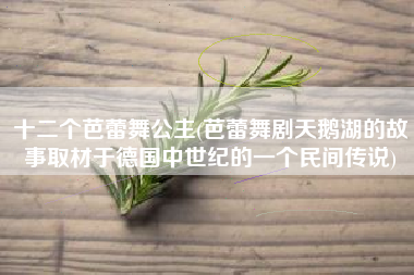 十二个芭蕾舞公主(芭蕾舞剧天鹅湖的故事取材于德国中世纪的一个民间传说)
