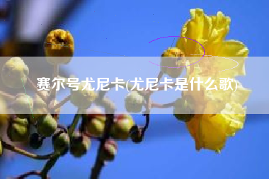 赛尔号尤尼卡(尤尼卡是什么歌)