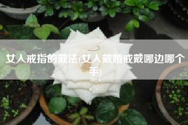 女人戒指的戴法(女人戴婚戒戴哪边哪个手)