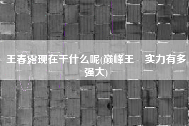 王春露现在干什么呢(巅峰王濛实力有多强大)