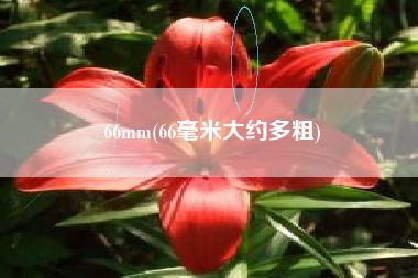 66mm(66毫米大约多粗)