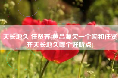 天长地久 任贤齐(黄吕源欠一个吻和任贤齐天长地久哪个好听点)