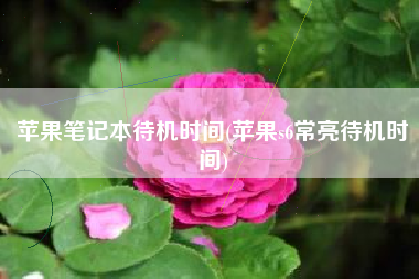 苹果笔记本待机时间(苹果s6常亮待机时间)