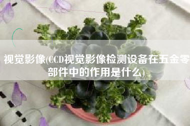 视觉影像(CCD视觉影像检测设备在五金零部件中的作用是什么)