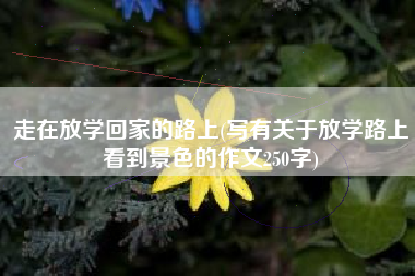 走在放学回家的路上(写有关于放学路上看到景色的作文250字)