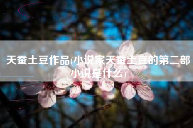 天蚕土豆作品(小说家天蚕土豆的第二部小说是什么)