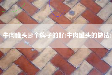 牛肉罐头哪个牌子的好(牛肉罐头的做法)