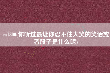 ca1300(你听过最让你忍不住大笑的笑话或者段子是什么呢)