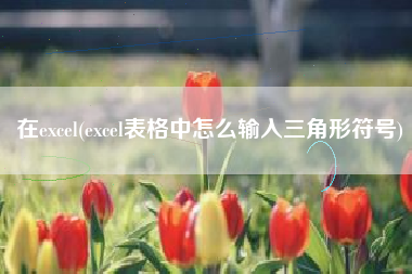 在excel(excel表格中怎么输入三角形符号)